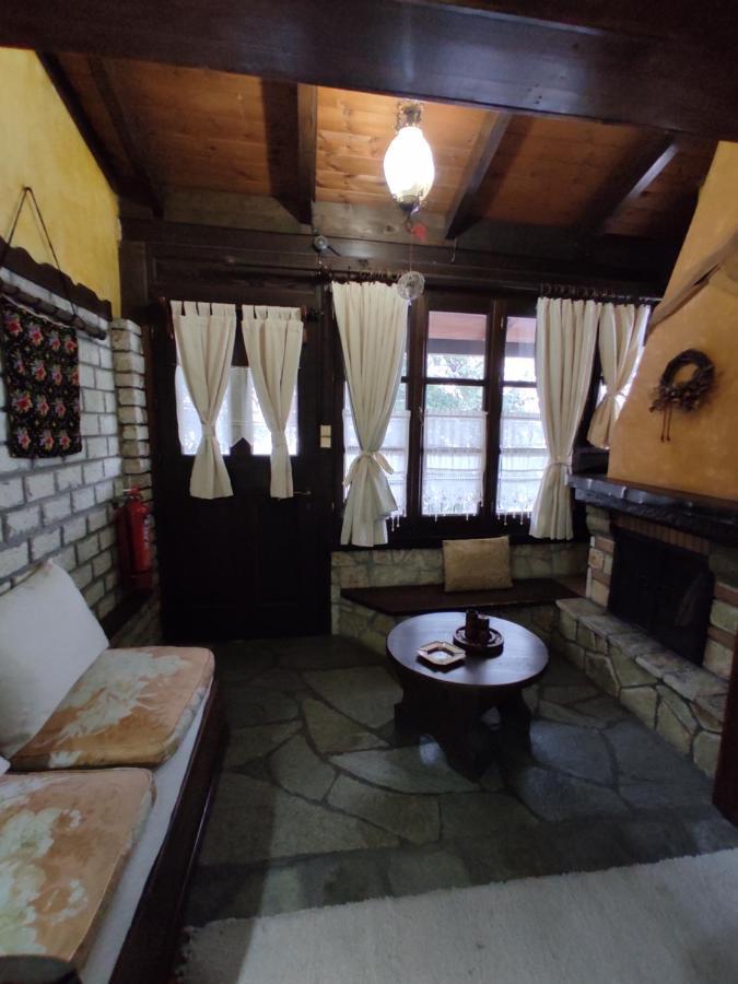 Xenonas Brizi Hotel Elati  Exterior photo