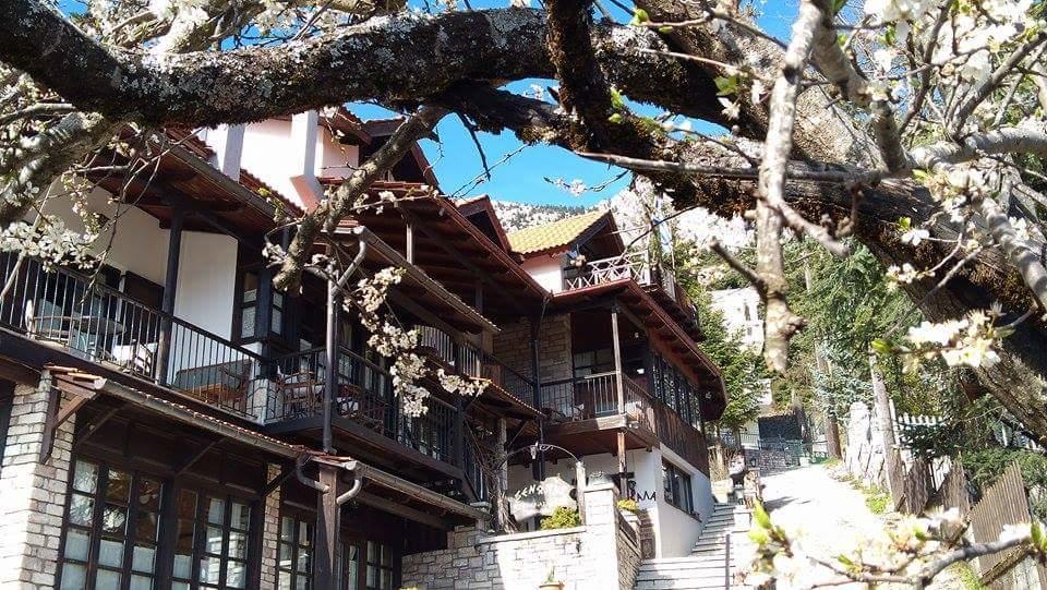 Xenonas Brizi Hotel Elati  Exterior photo
