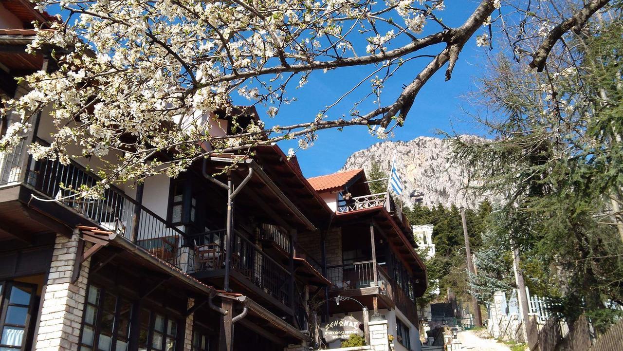 Xenonas Brizi Hotel Elati  Exterior photo